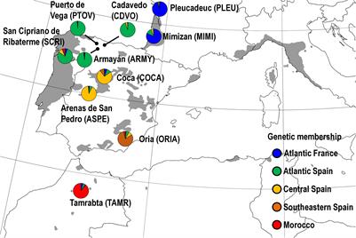 Inducibility of Plant Secondary Metabolites in the Stem Predicts Genetic Variation in Resistance Against a Key Insect Herbivore in Maritime Pine